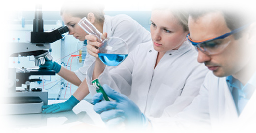 先進的生產設備，全面支撐保障